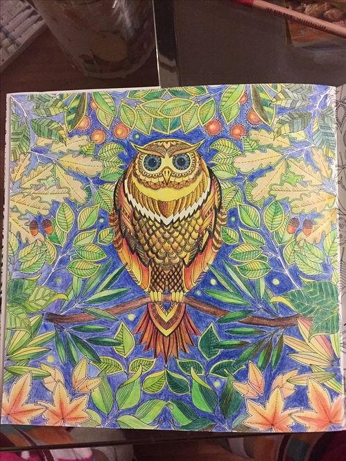 我的秘密花园1,我的秘密花园之旅 第3张 我的秘密花园1,我的秘密花园之旅 第3张