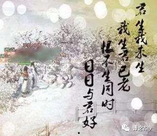 君恨我生迟（司令府就是我的家）,君恨我生迟，家国情怀永流传